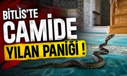 Bitlis'te Camiyi Karıştıran Yılan!