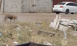 Bitlisin Tatvan İlçesinde Halen O Sorun Çözülmedi