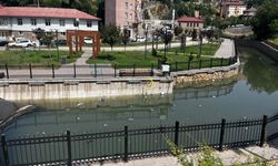 Bitlis Deresindeki Kirlilik Gözler Önünde