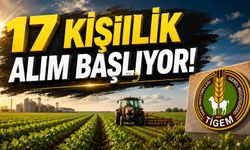 17 Kişilik Alım Başlıyor!