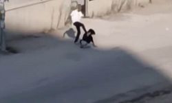 Adana'da Kadını Sokak Ortasında Dövdü, Serbest Kaldı