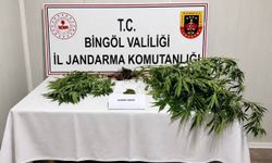 Bingöl’de Aranan 6 Şüpheli Yakalandı
