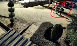 Diyarbakır’da Kucağında Çocuğuyla Saldırıya Uğrayan Kadın Öldü