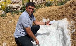 Elbistan'da Karlar Yazın Serinlik İçin Saklanıyor