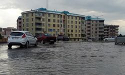 Erzurum Ve Ardahan İçin Kuvvetli Yağış Uyarısı