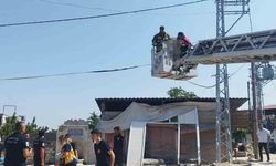 Hatay’da Elektrik Direğinde Erkek Cesedi Bulundu