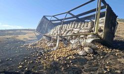 Patates Yüklü Kamyon Alevlere Teslim Oldu