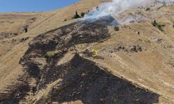 Bitlis’te örtü yangını korkuttu