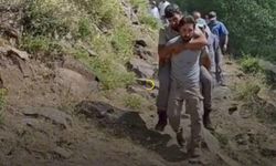 Hizan’da Çoban Ayı Saldırısına Uğradı