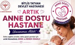 Bitlis Tatvan Devlet Hastanesi ‘Anne Dostu Hastane’ Ünvanını Aldı