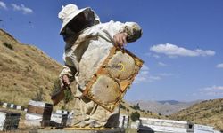 Bitlis Balında Bereketli Sezon Beklentisi