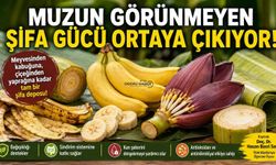 Muzun Görünmeyen Şifa Gücü Ortaya Çıkıyor!