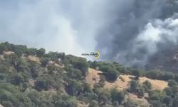 Bitlis’te Yangın Paniği! Alevler Geniş Alana Yayıldı