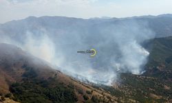 Bitlis’te Korkutan Yangın Kontrol Altına Alındı