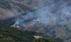 Bitliste Yangın Halen Devam Ediyor