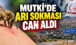 Mutki’de Arı Sokması Sonucu 65 Yaşındaki Adam Hayatını Kaybetti