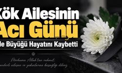 Bitliste Hikmet Kök Hayatını Kaybetti