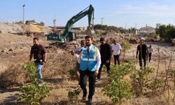 Adilcevaz’da Kara Dere İçin Taşkın Önlemi: Çalışmalar Sürüyor