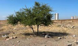 Adana'da 35 Yaşındaki Şahıs Boş Arazide Ölü Bulundu