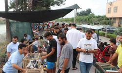 Adana’da Kuş Tutkunlarının Buluşma Noktası