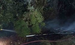 Düziçi’nde Orman Yangını Korkuttu