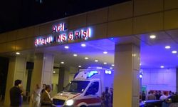 Erciş’te Otomobil Takla Attı: Sürücü Ağır Yaralı