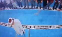 Erzurum’da kediyi tekmeleyen şahıs serbest kaldı