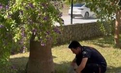 Havalandırma Boşluğunda Mahsur Kalan 3 Yavru Kedi Kurtarıldı