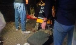 Minibüs Devrildi: 9 Yaralı