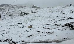 Rize’de Eylül Karı Kaçkarları Beyaza Bürüdü