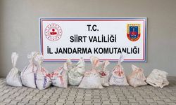 Siirt’te 300 Kilo Fıstık Hırsızlığına Suçüstü