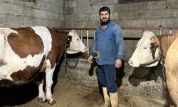 Bitliste Esnaflığı Bıraktı, Hayvancılığa Başladı!