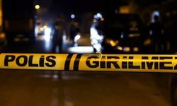 Ahlat’ta Bir Erkeğin Cesedi Bulundu