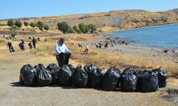 Van Gölü sahilinde 4 ton çöp toplandı