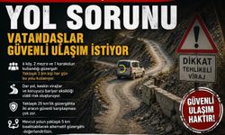 Bitlis’te Köylülerden Yol Çağrısı!