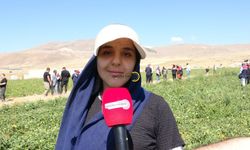 Okul Harçlığı İçin Kilometrelerce Uzaklıktan Bitlis’e Geliyorlar