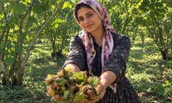 Hizan, Karadeniz Dışındaki Önemli Fındık Üretim Merkezlerinden Biri