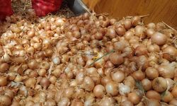 Bitlis’te Kış Hazırlığı Başladı