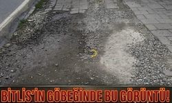 Bitlis’in Göbeğinde Bu Görüntü!