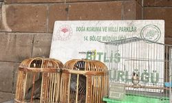 Bitlis’te Kaçak Avcılığa 85 Bin TL Ceza: Keklik ve Saka Kuşları Koruma Altına Alındı
