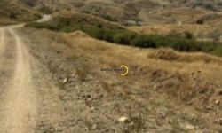 Bitlis’te Yeniköyün Yolu Unutuldu mu?