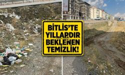 Bitlis’te Yıllardır Bekleyen Temizlik!