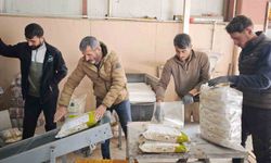 Bitlis, Kuru Fasulye Tohumunda Türkiye’nin Lideri Oldu