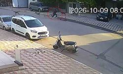 Hatay’da Sokak Köpekleri 15 Yaşındaki Öğrenciye Saldırdı