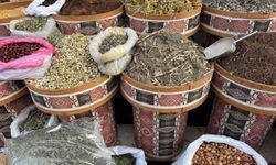 Iğdır’da Soğuk Hava Baharatçılara Yaradı