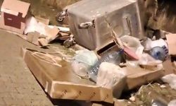 Sarıkamış’ta Boz Ayılar Sokaklara İndi