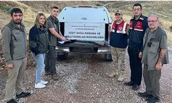 Siirt’te Kaçak Avcı Yakalandı