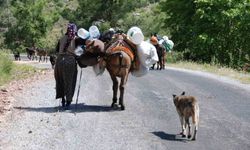 Toroslar’da Yörüklerin Sahile Dönüş Yolculuğu Başladı