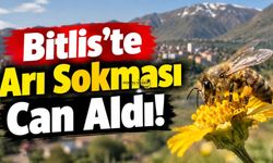 Bitlis’te Arı Sokması Can Aldı!