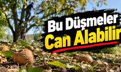 Bu Düşmeler Can Alabilir